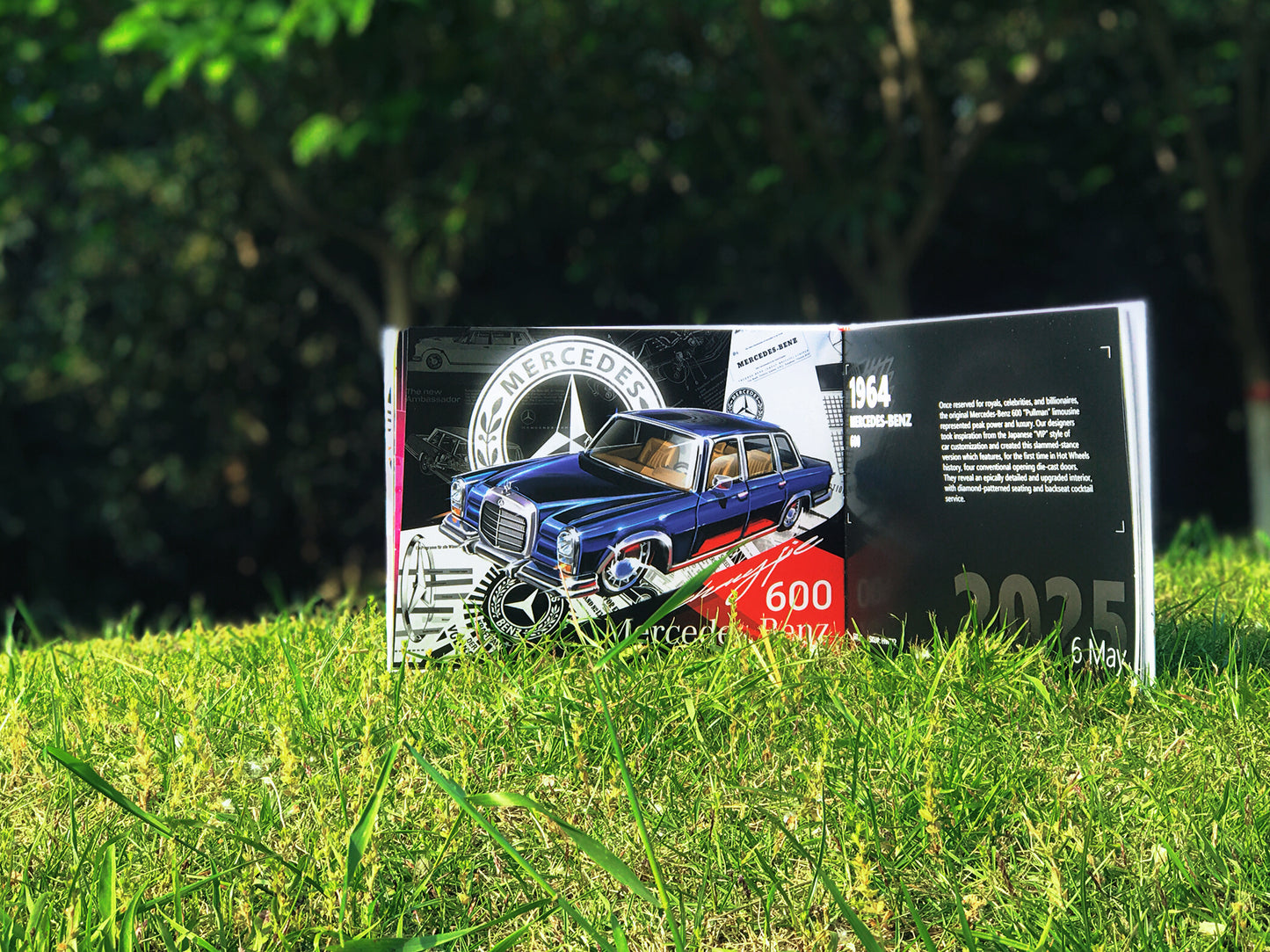 5 Studio 2025 RLC Art Book