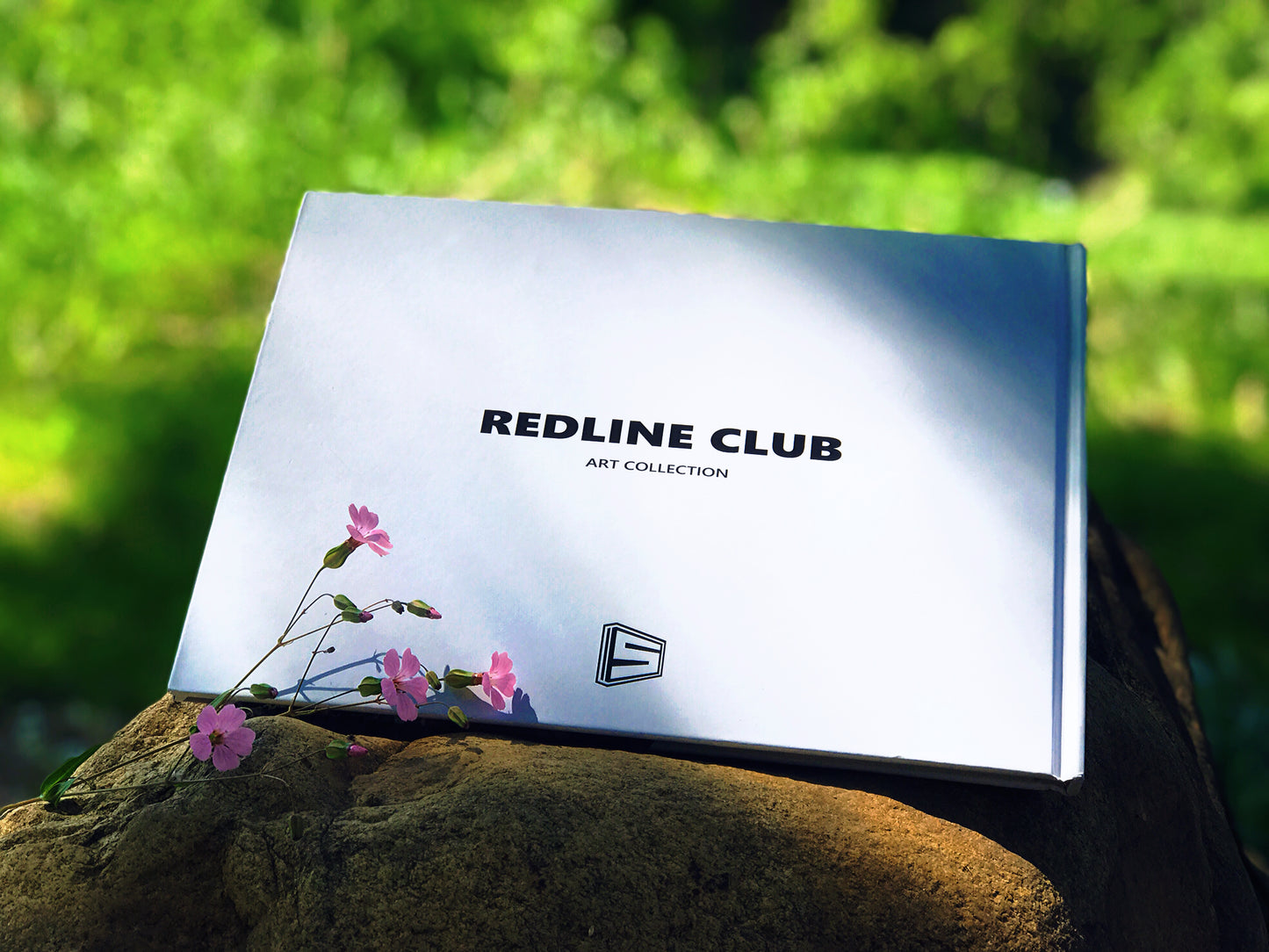 5 Studio 2025 RLC Art Book